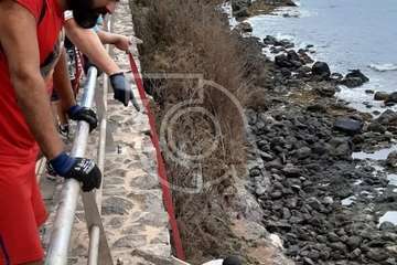 Batida ciudadana de limpieza en los riscos de La Garita/TA.